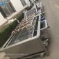 渦流清洗機(jī)清洗葉菜類根莖類和腌制蔬果