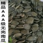 批發(fā)直售 新貨精品AAA級(jí)無(wú)殼南瓜子仁 無(wú)殼葫蘆子光板南瓜籽仁 生