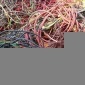 河北電線電纜上門回收 廢舊電線電纜回收